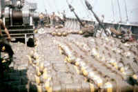 Bombs65.jpg (25234 bytes)