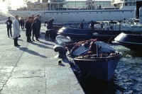 GM6603.jpg (40503 bytes)