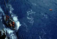 GM6605.jpg (37456 bytes)