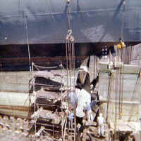 Screw652.jpg (29905 bytes)