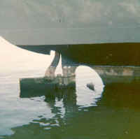 screw651.jpg (22166 bytes)